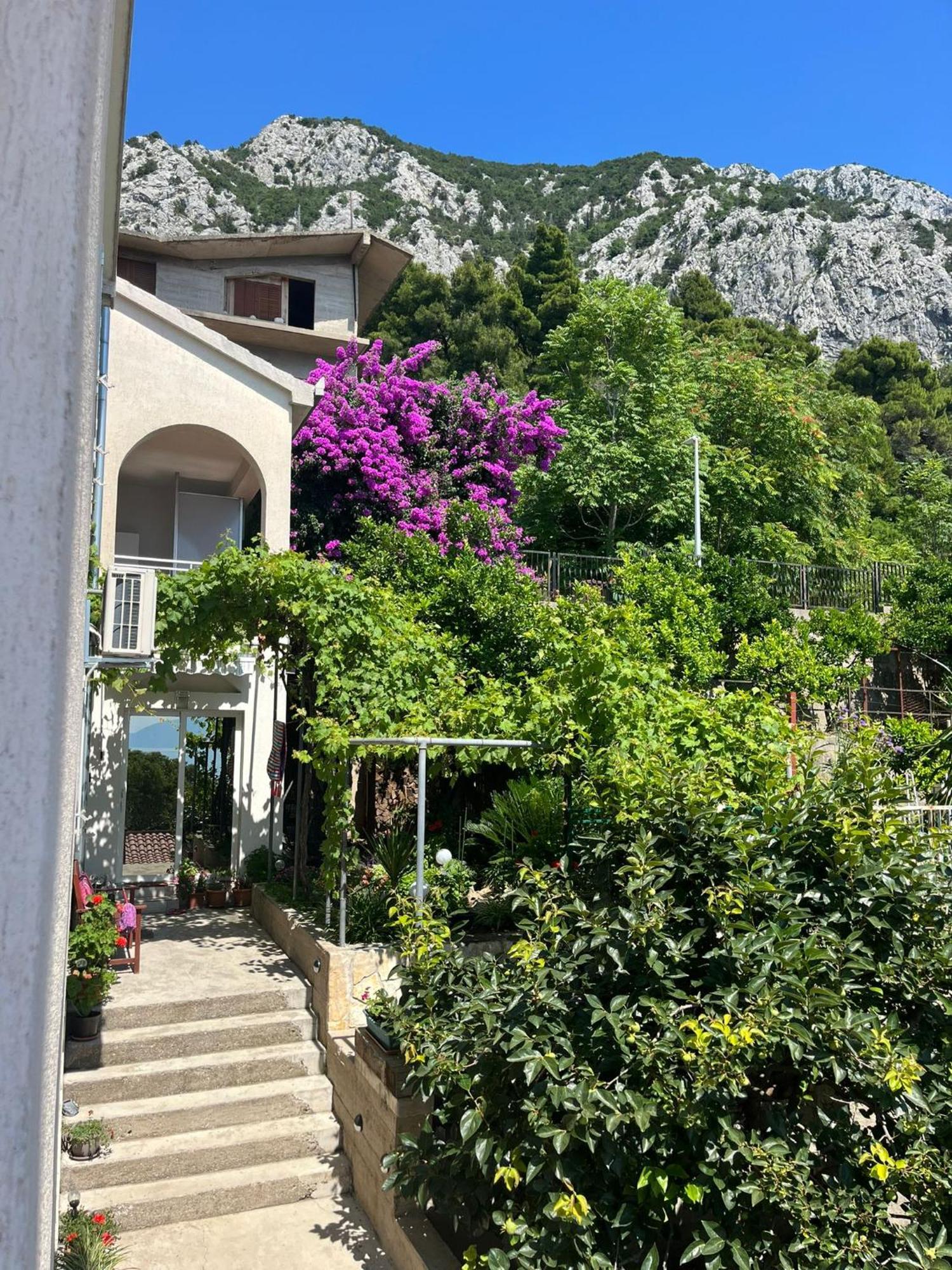 Apartment Davor Gradac  Exterior foto